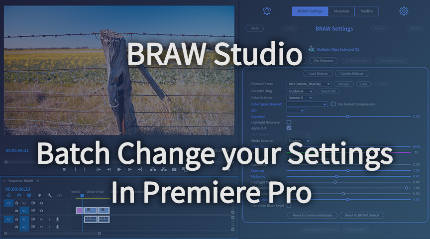 Batch Change your BRAW Settings in one click in Premiere Pro