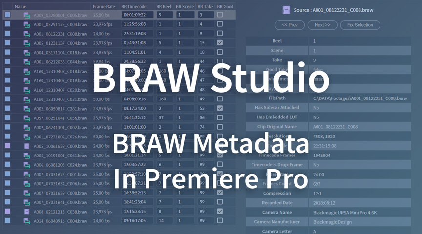 BRAW Metadata in Premiere Pro : Visualize and Organize