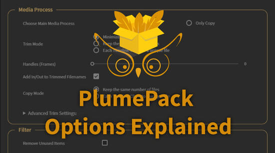 PlumePack Options Explained